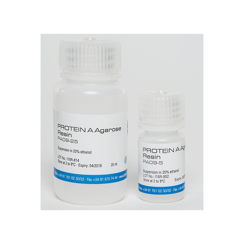 Protein A Agarose Resin | abtbeads.com