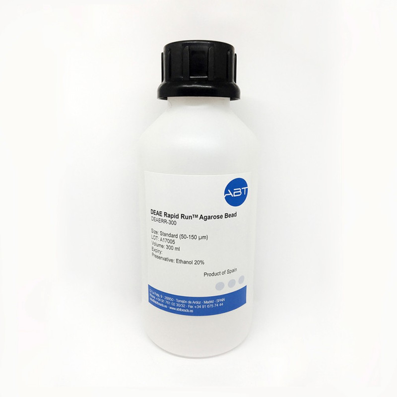 DEAE Rapid Run™ Agarose Bead