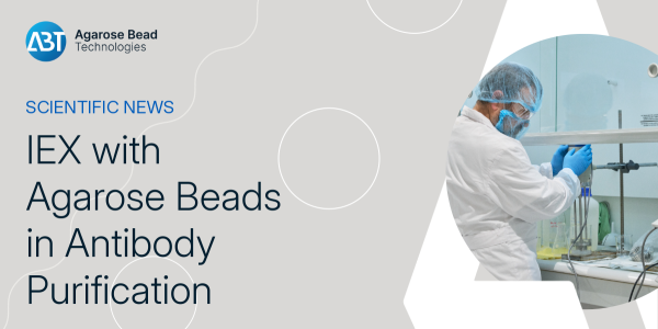 Ion Exchange Chromatography with Agarose Beads in Antibody Purification